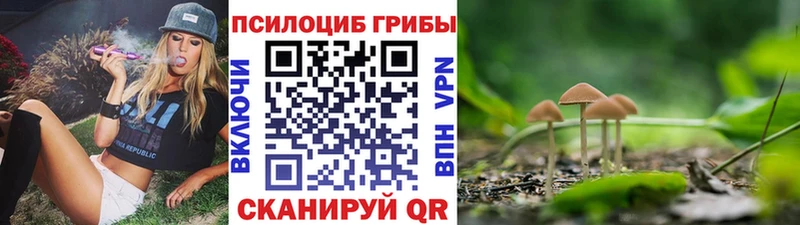 Галлюциногенные грибы мухоморы  Полесск 